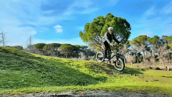 Brushed Motor vs Brushless Motor: What Every E-Bike Beginner Needs to Know - Jansno Ebike US