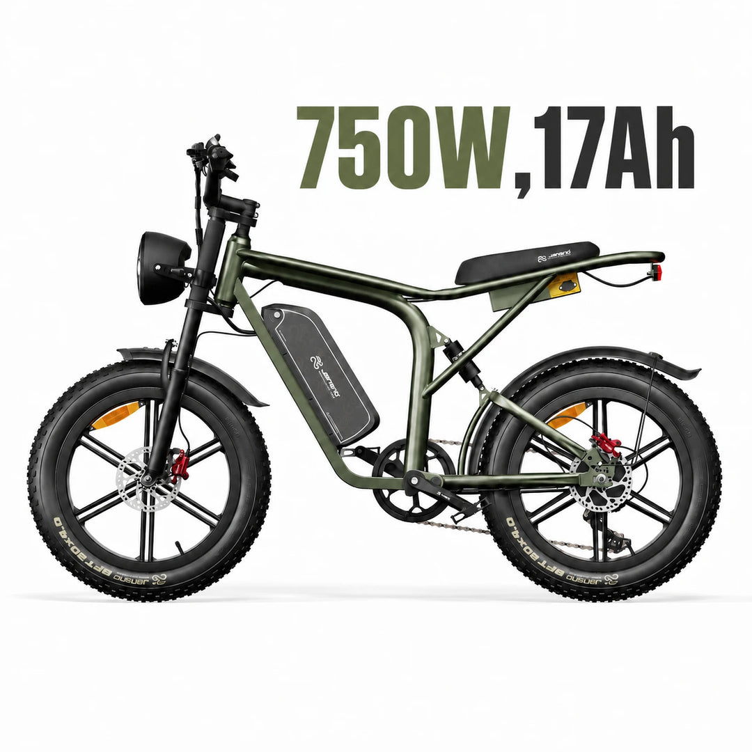 X80-750W-17Ah