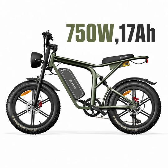 X80-750W-17Ah