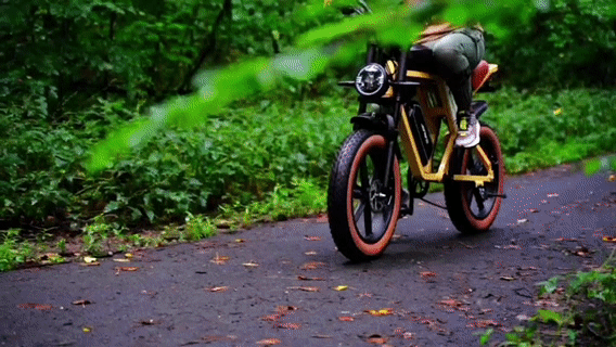 Jansno x70 Wetland Safe Cycling