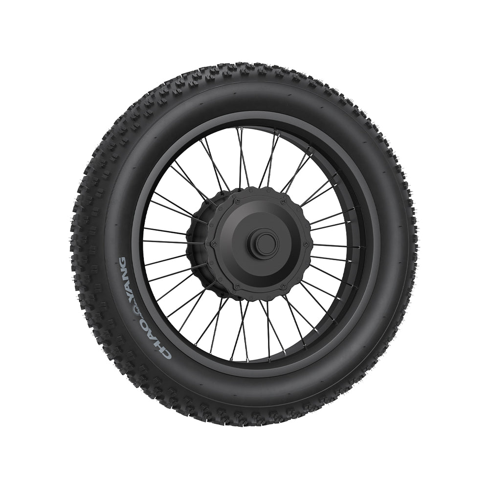 Integrated Motor Wheel Set For Jansno X90