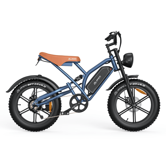 Customizer your Jansno Ebike (for wholesale only) - Jansno Ebike US