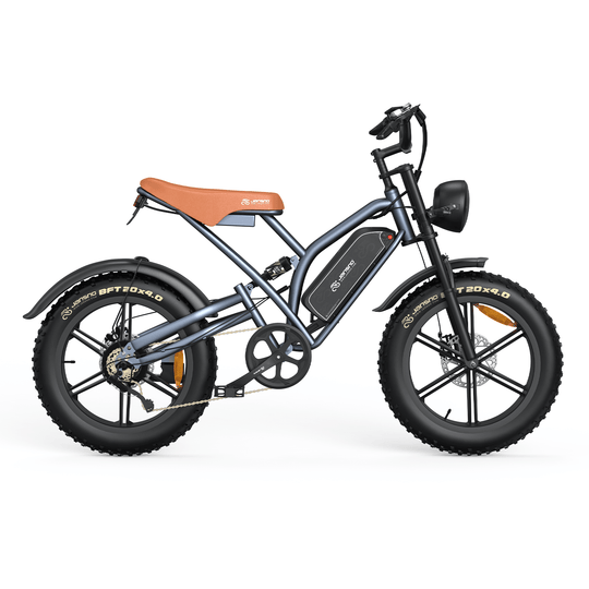 Customizer your Jansno Ebike (for wholesale only) - Jansno Ebike US