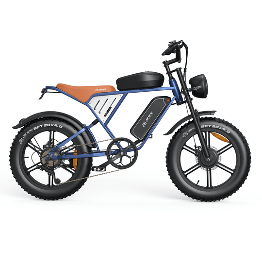 Customizer your Jansno Ebike (for wholesale only) - Jansno Ebike US