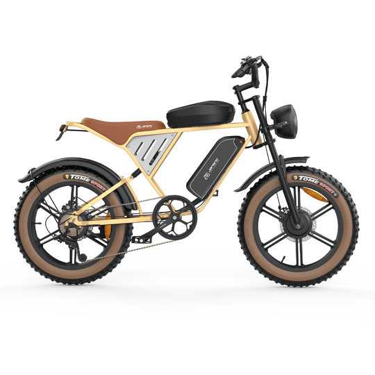 Customizer your Jansno Ebike (for wholesale only) - Jansno Ebike US
