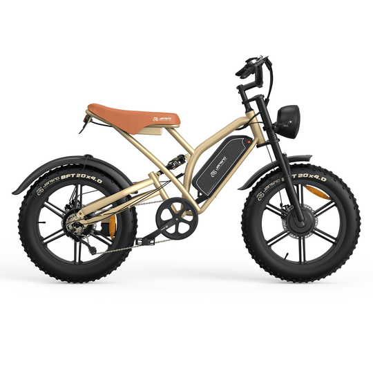 Customizer your Jansno Ebike (for wholesale only) - Jansno Ebike US