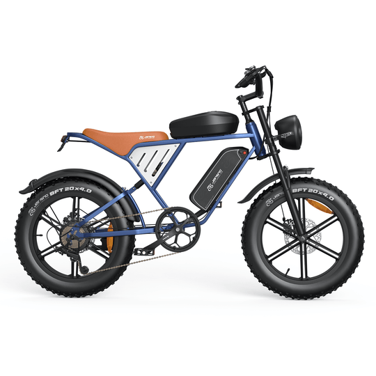 Customizer your Jansno Ebike (for wholesale only) - Jansno Ebike US